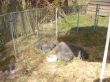 DSC01634.JPG